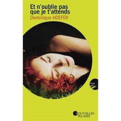 Couverture du livre Et n'oublie pas que je t'attends de Dominique Hoefer