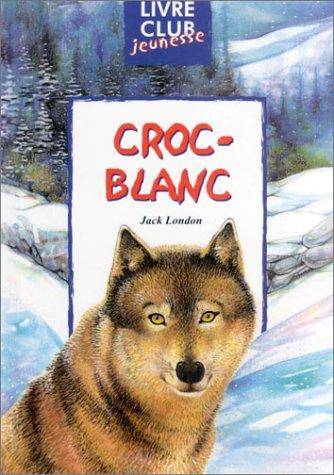 Couverture du livre Notre-Dame de Paris de Marie-Françoise Perat