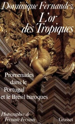 Couverture du livre L'or des tropiques de Dominique Fernandez