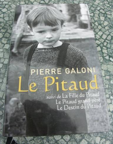 Couverture du livre Le pitaud de Pierre Galoni