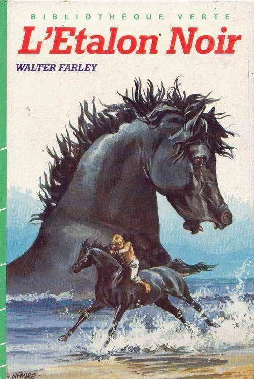 Couverture du livre L'étalon noir de Walter Farley